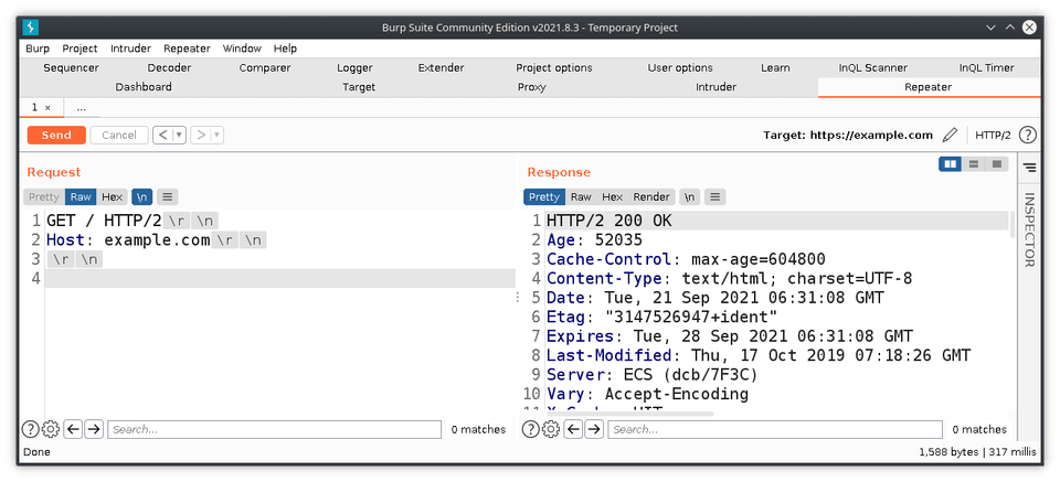 burpsuite repeater showing non-printable chars